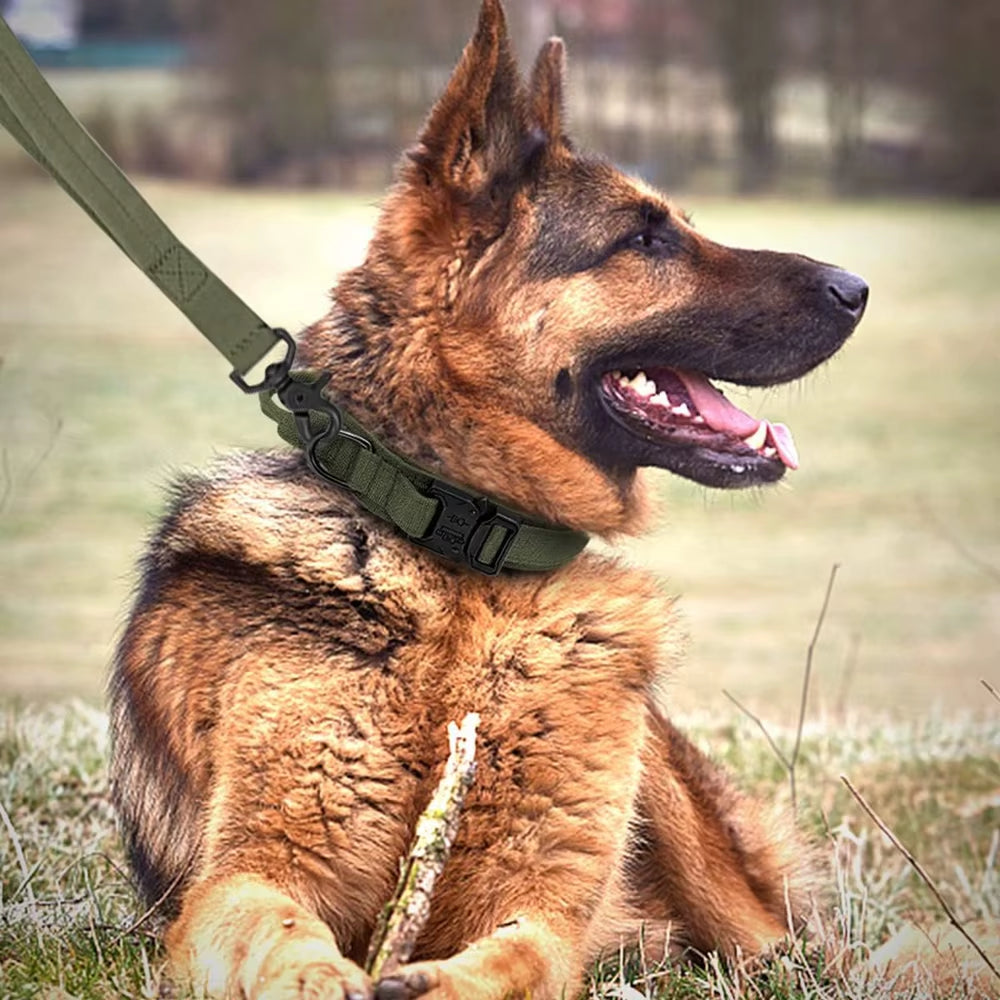 Tactical Dog Collar & Leash Set – Power, Control & Comfort for Every Adventure
